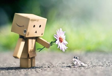 森林狼vs国王，激烈对抗即将上演