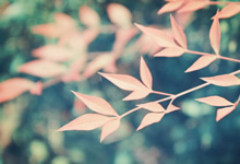 克罗地亚队力克巴拉圭晋级世界杯