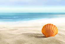 精彩绝伦的对抗，球队间的纷争愈演愈烈