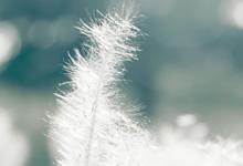 火热比赛中，女队员以出色表现夺冠