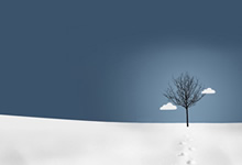 拜仁慕尼黑中场因伤缺席，球队控球能力受损