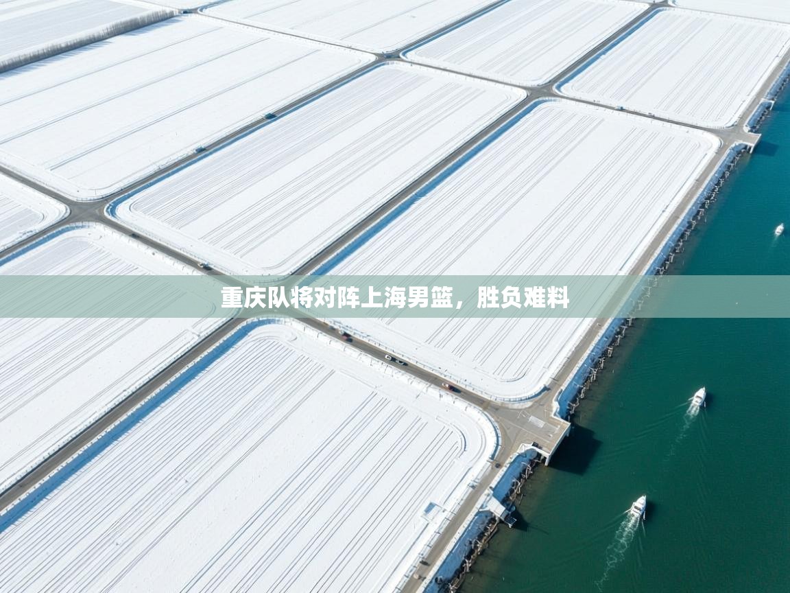 重庆队将对阵上海男篮，胜负难料