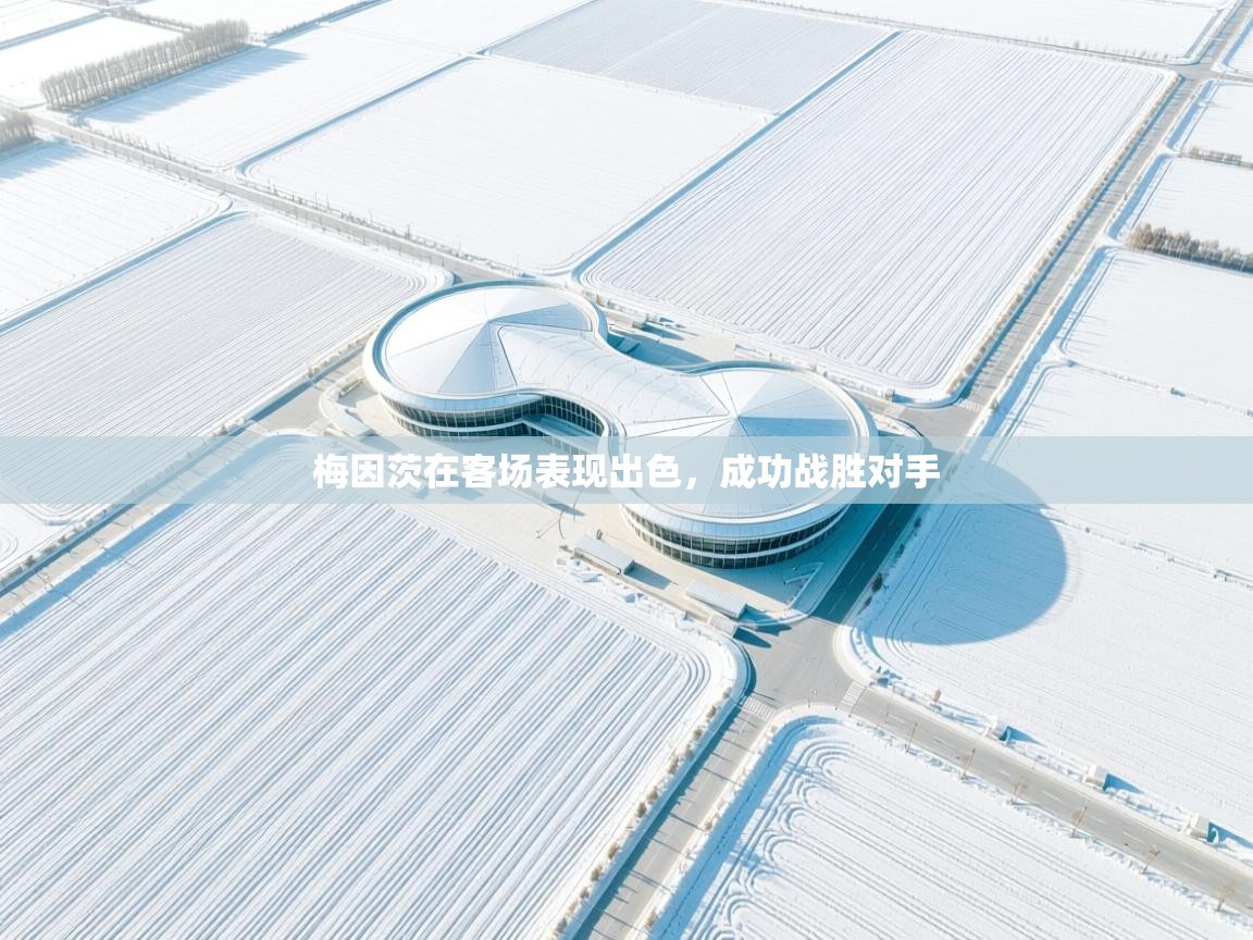 梅因茨在客场表现出色,成功战胜对手 第2张