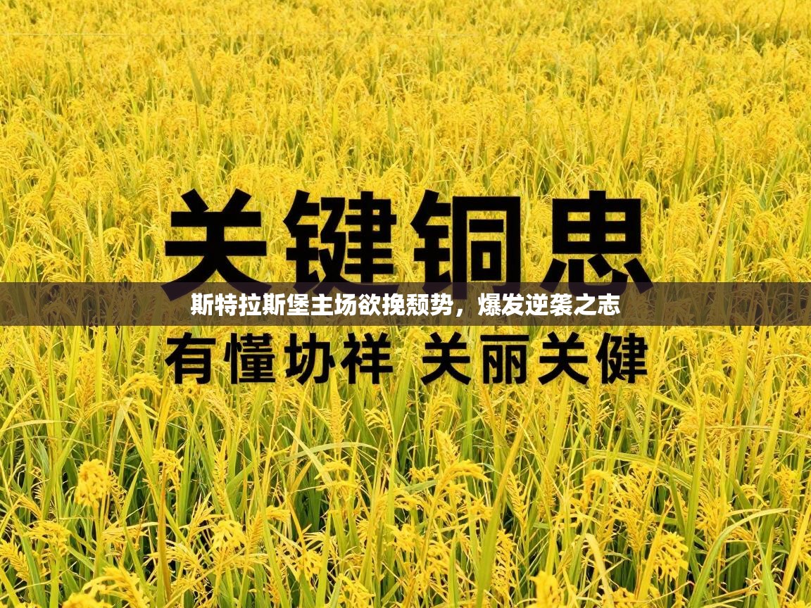 斯特拉斯堡主场欲挽颓势,爆发逆袭之志 第2张